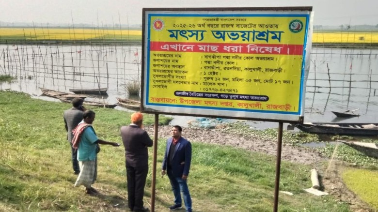 রাজবাড়ীতে বাড়ছে বিলুপ্তপ্রায় দেশি মাছের উৎপাদন