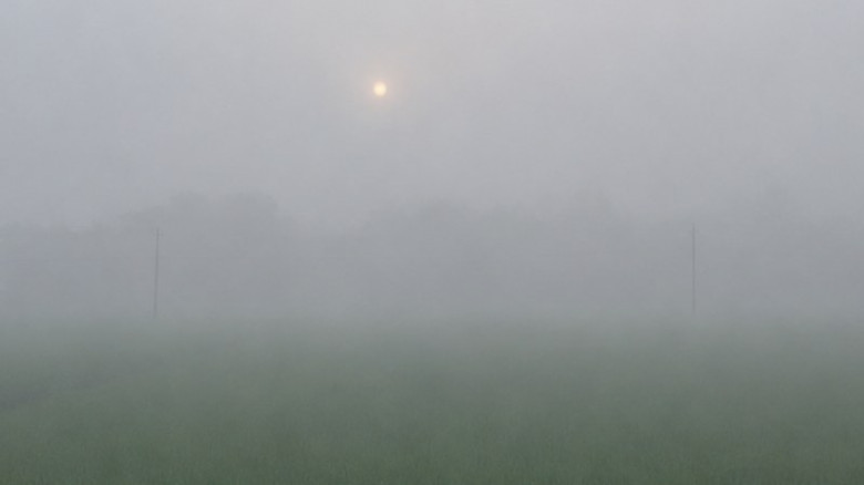 কুয়াশার চাদরে হালুয়াঘাট, শীতের আগমনী বার্তা